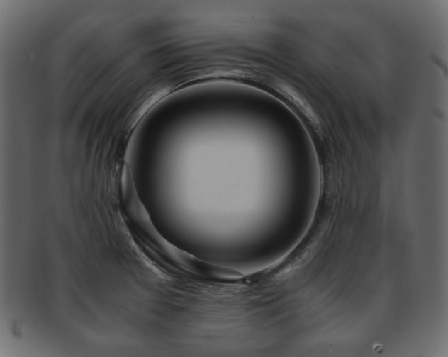 X0000092311377200709141344