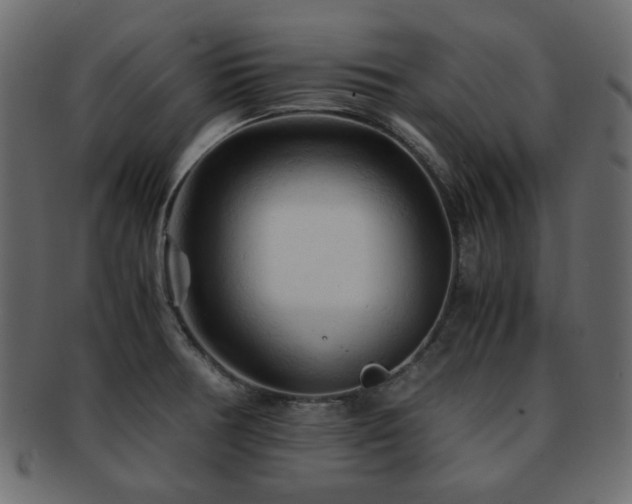 X0000092311378200709141344