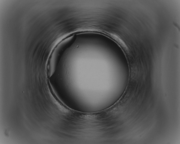 X0000092311380200709141344