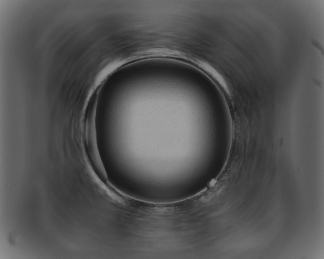 X0000092311381200709141344