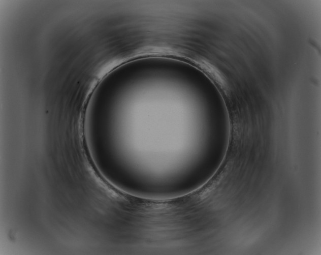 X0000092311382200709141344