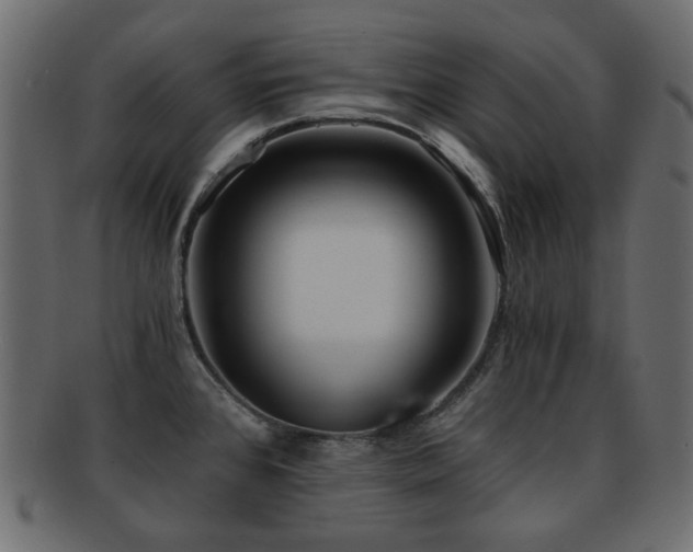 X0000092311384200709141344