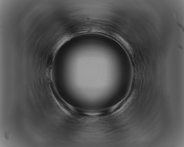 X0000092311385200709141344