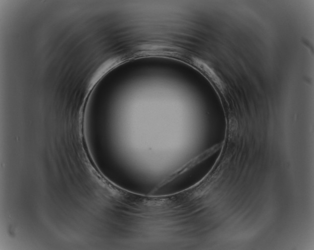X0000092311386200709141344