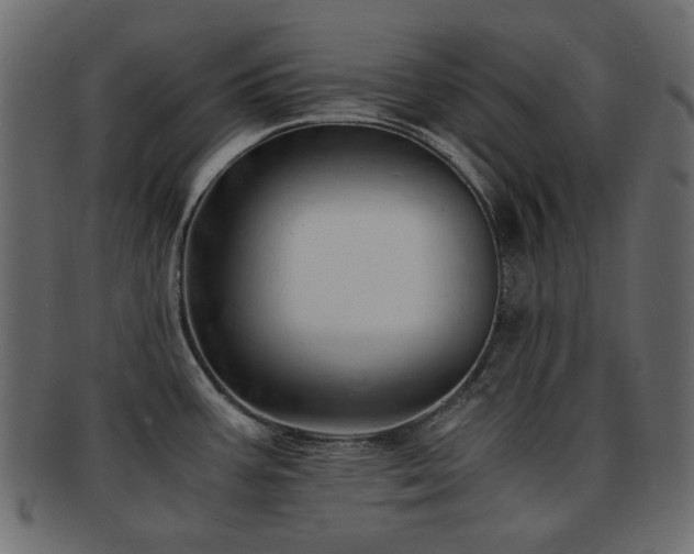 X0000092311387200709141344