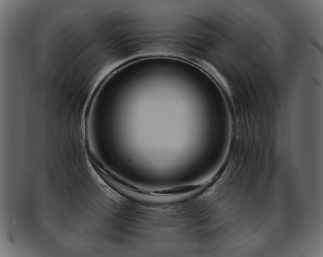 X0000092311388200709141344