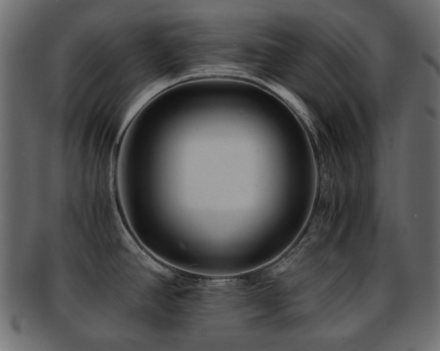 X0000092311390200709141344