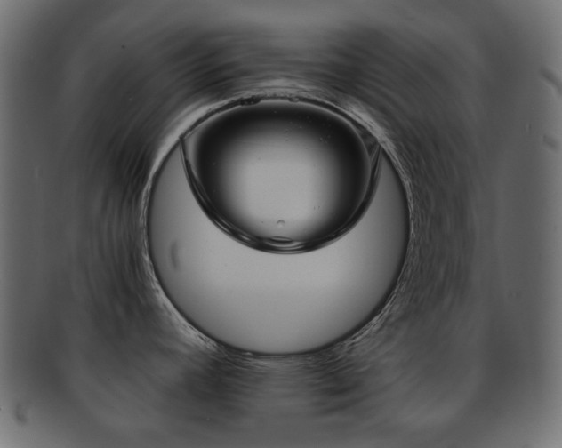 X0000092311392200709141344