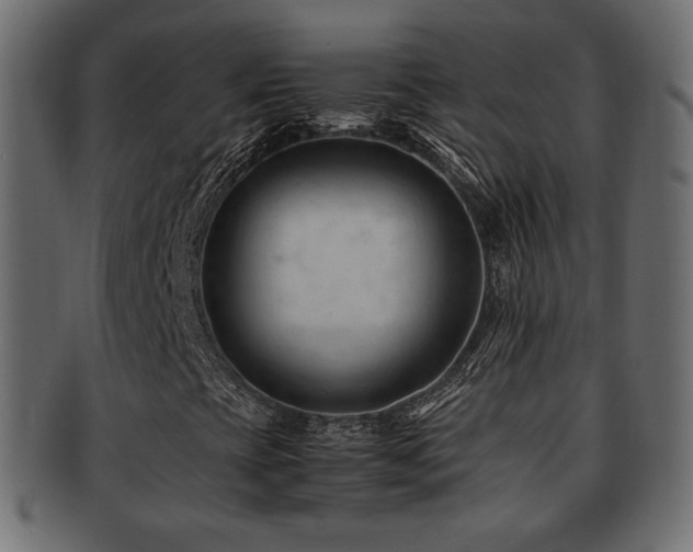 X0000092311393200709141343