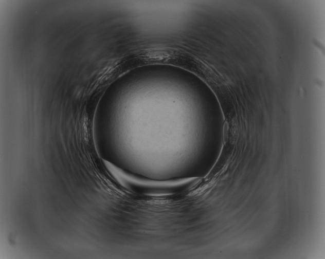 X0000092311394200709141343