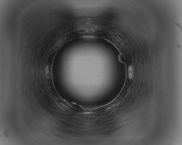 X0000092311395200709141343