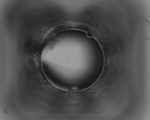 X0000092311397200709141343