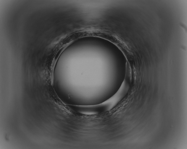 X0000092311398200709141343