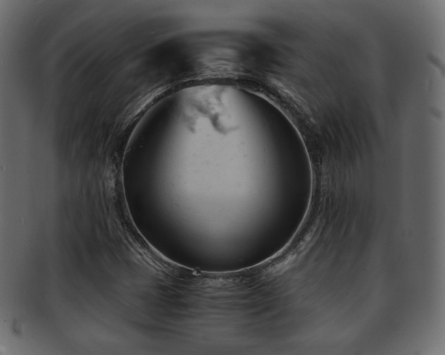 X0000092311401200709141343