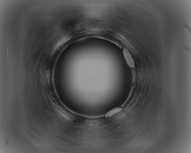 X0000092311402200709141343