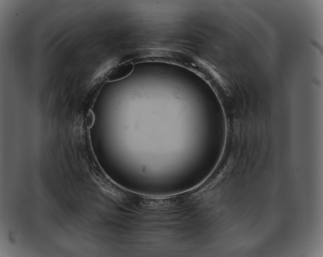 X0000092311403200709141344