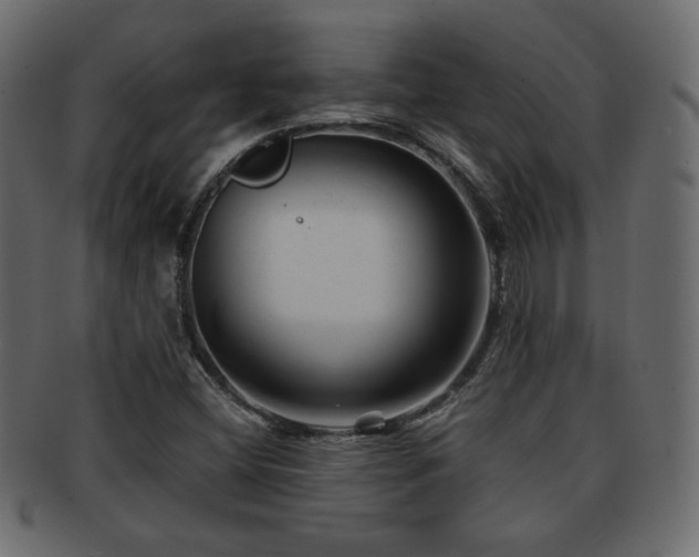 X0000092311404200709141344