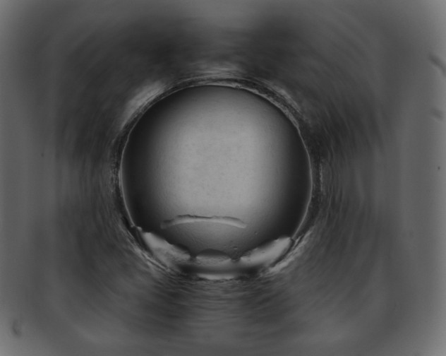 X0000092311405200709141344