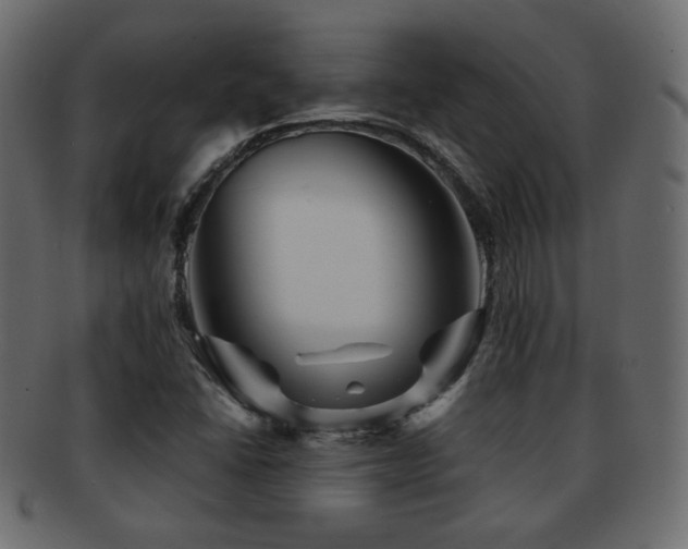 X0000092311406200709141344