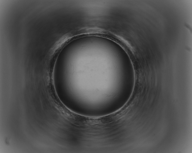 X0000092311407200709141344