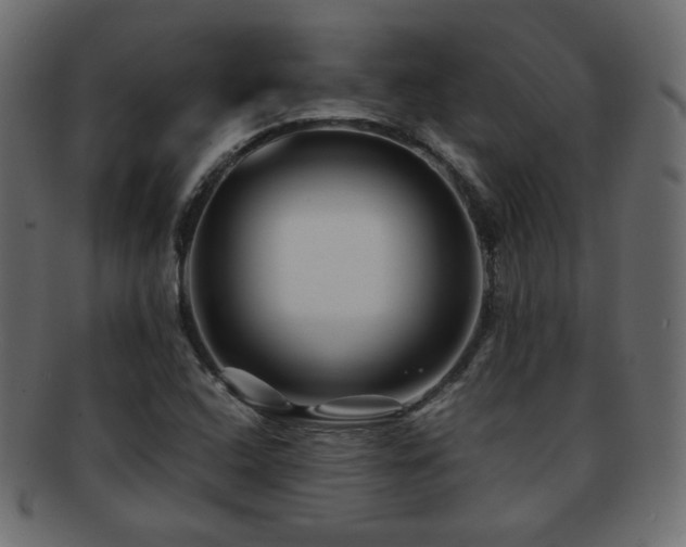 X0000092311408200709141344