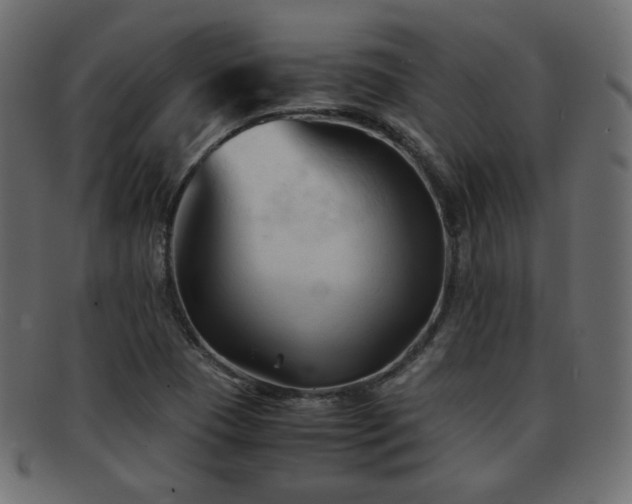 X0000092311409200709141344