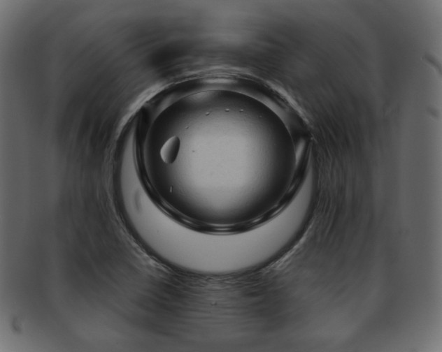 X0000092311410200709141344