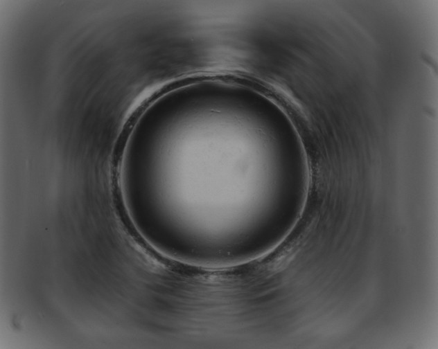 X0000092311412200709141344