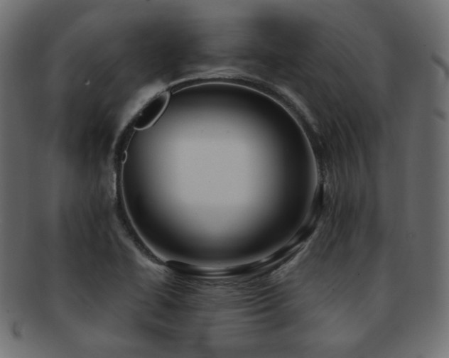 X0000092311414200709141344