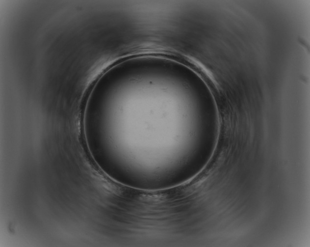 X0000092311415200709141344
