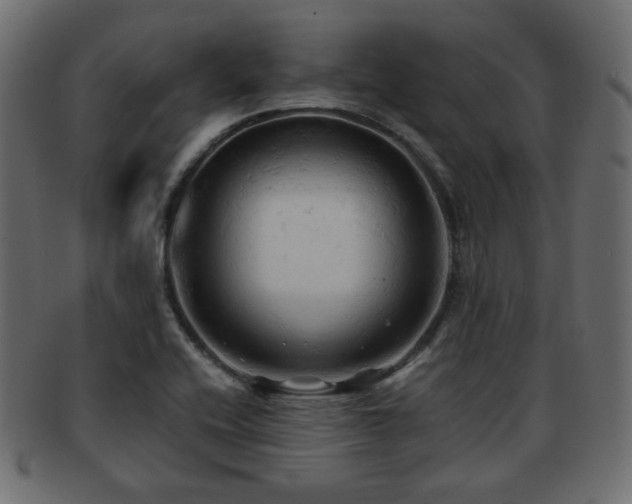 X0000092311416200709141344