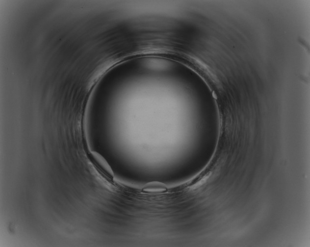 X0000092311417200709141344