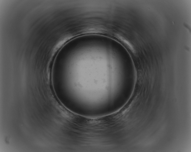 X0000092311419200709141344