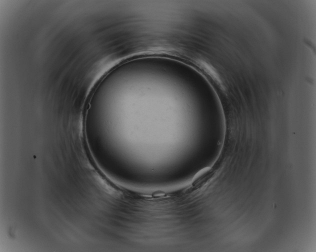 X0000092311420200709141344