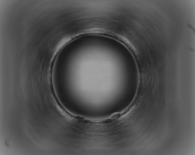 X0000092311421200709141344
