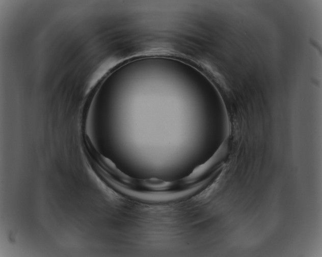 X0000092311422200709141344