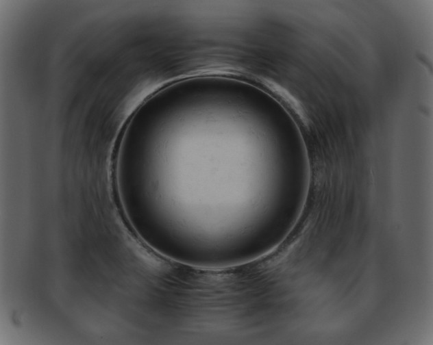 X0000092311423200709141344