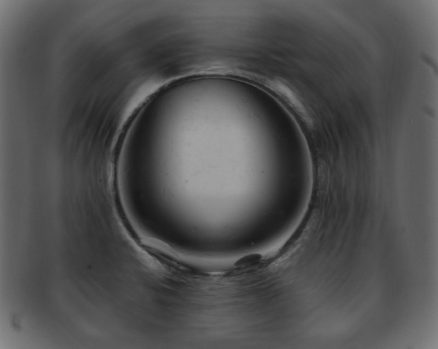 X0000092311424200709141344