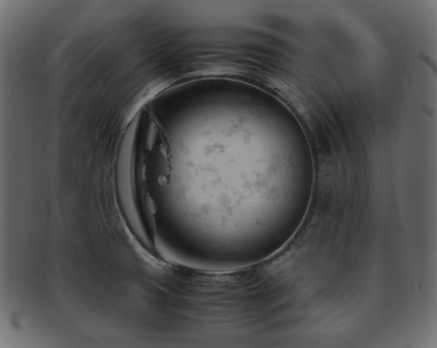 X0000092311425200709141344