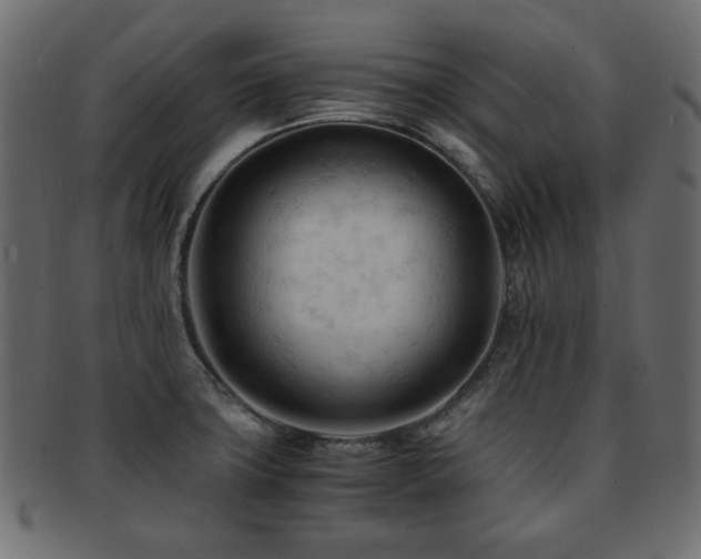 X0000092311427200709141344