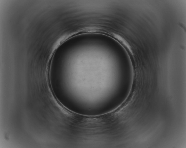 X0000092311429200709141344
