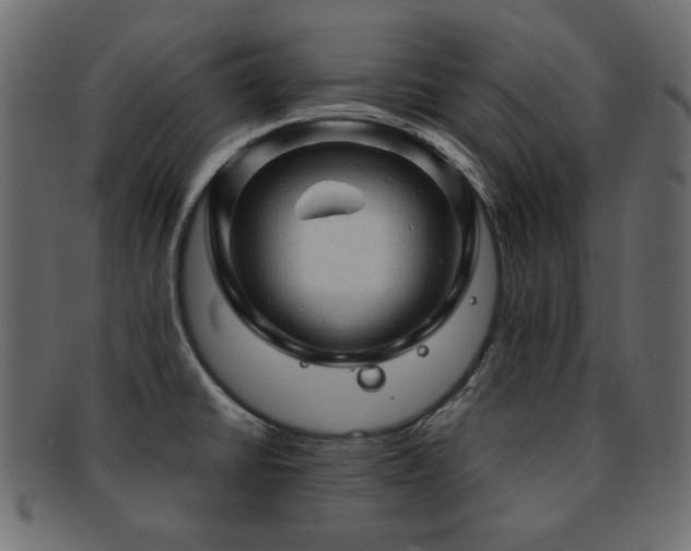 X0000092311430200709141344