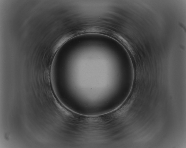 X0000092311433200709141344