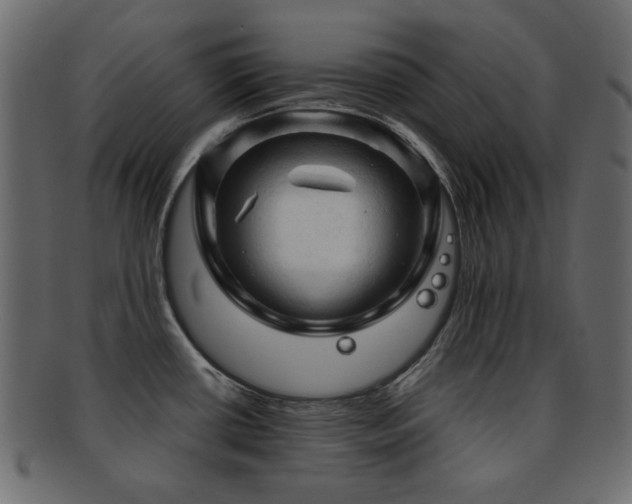 X0000092311434200709141344
