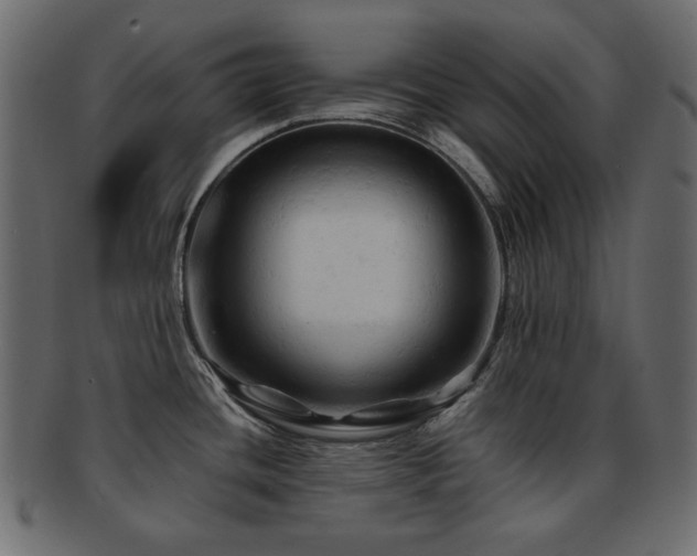 X0000092311436200709141344