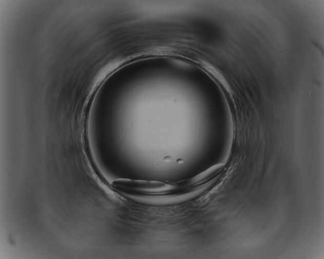 X0000092311437200709141344