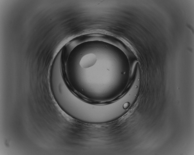 X0000092311438200709141344