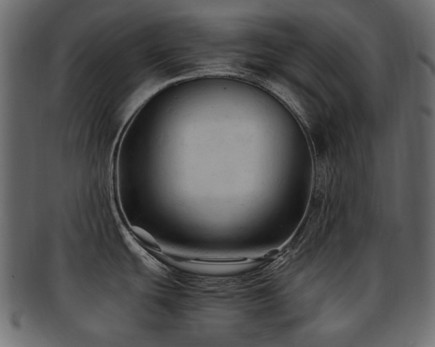 X0000092311439200709141344