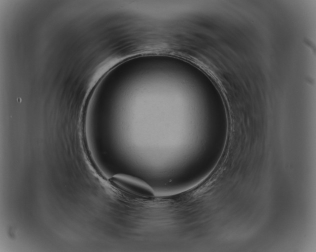X0000092311440200709141344