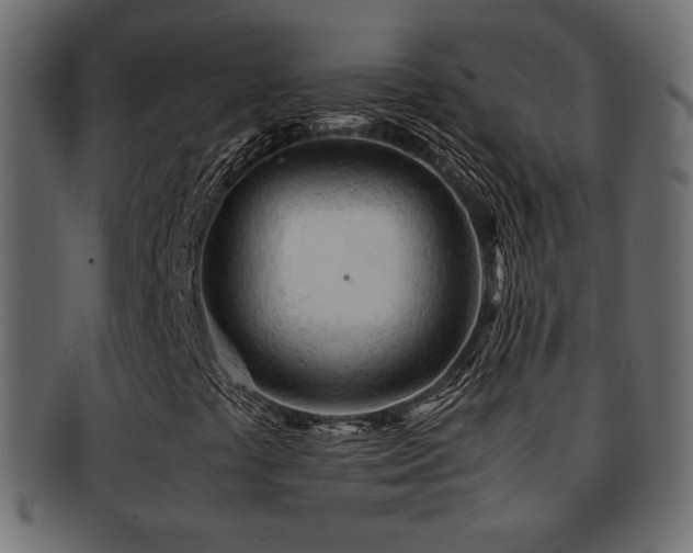 X0000092311441200709141343